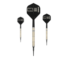 Target Dimitri Van Den Bergh 95K Softdarts - 19g