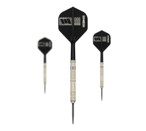 Target Dimitri Van Den Bergh 95K Swiss Point Steeldarts