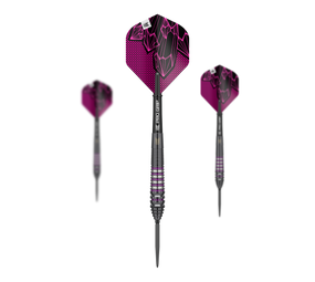 Target Lorraine Winstanley GEN2 Swiss Point Steeldarts - 24g