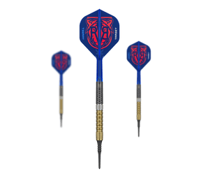 Target Raymond Van Barneveld GEN6 Softdarts