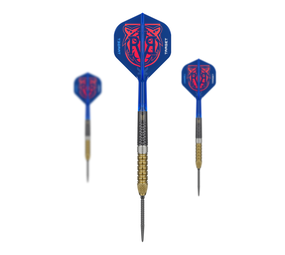 Target Raymond Van Barneveld GEN6 Swiss Point Steeldarts